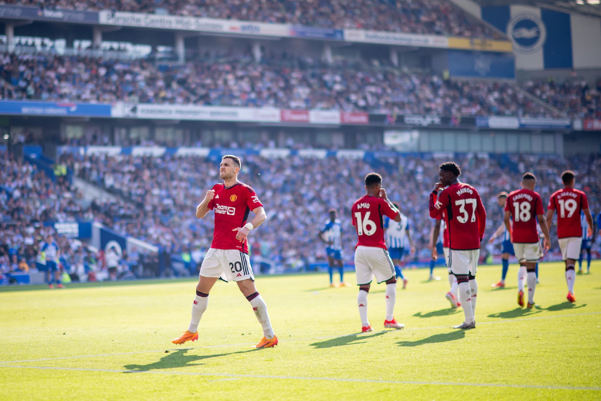 的具体情况 的具体情况